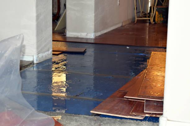 Professional Emergency Water Damage Restoration technician working in Caddo Mills, TX